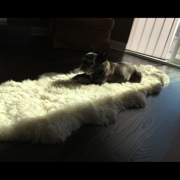 Meet your Posher, Julie - Picture 1 of 1